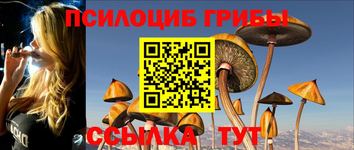 Псилоцибиновые грибы GOLDEN TEACHER  Галлюциногенные грибы прущие грибы  Новоуральск  Вход с VPN 